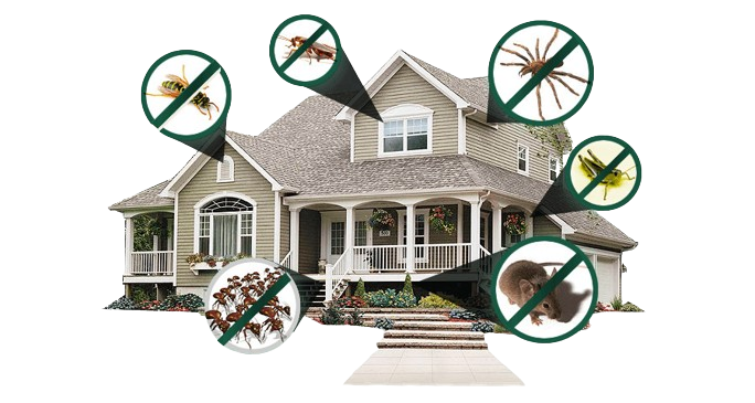 Residential Pest Control