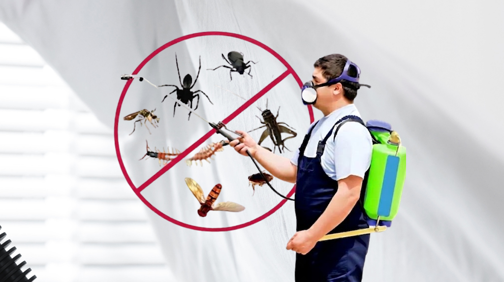 Pest Control Services