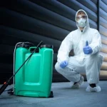 Do You Believe These Pest Control Myths?