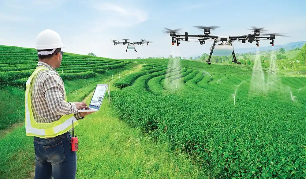 How Are Drones Transforming Pest Management?