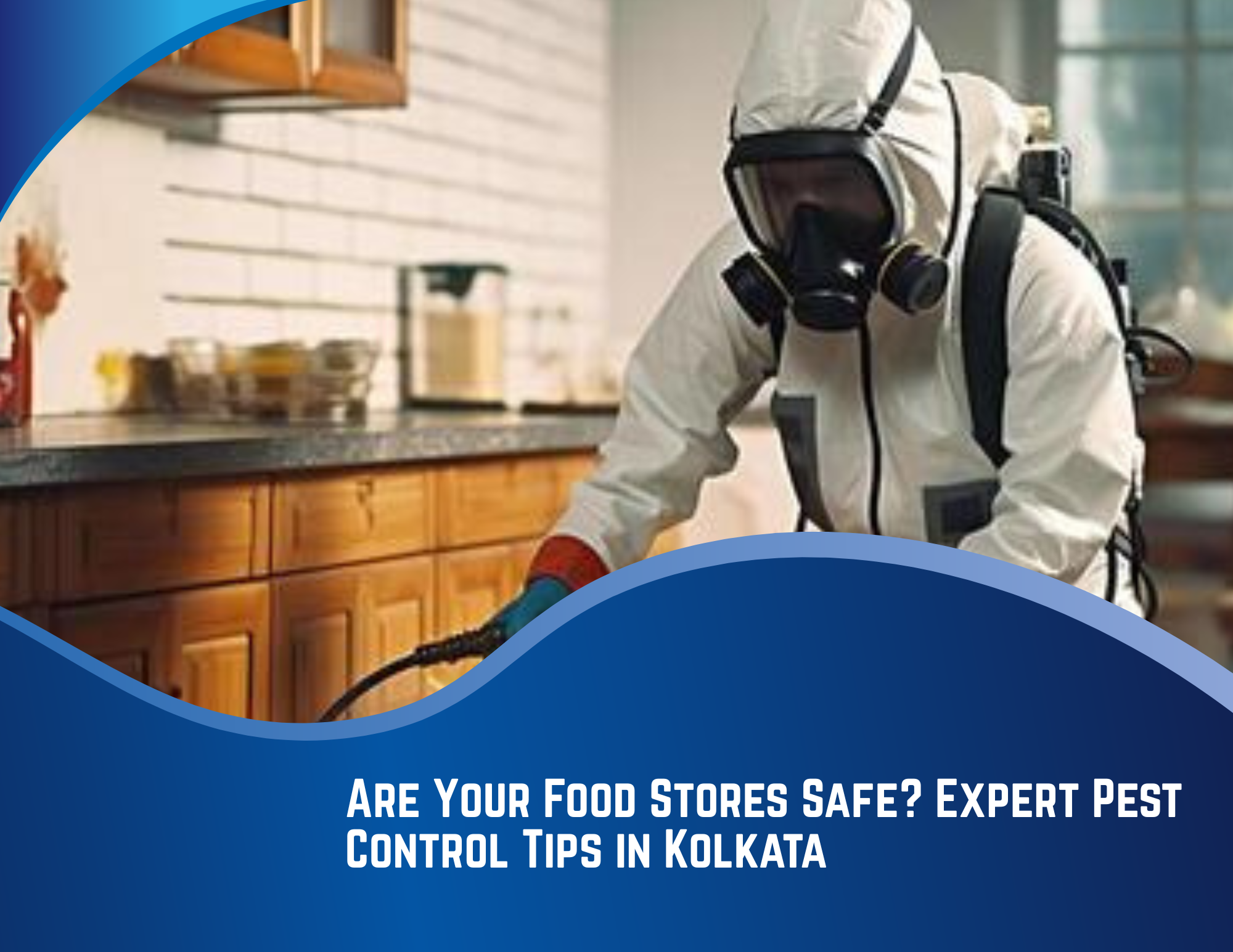 Are Your Food Stores Safe? Expert Pest Control Tips in Kolkata
