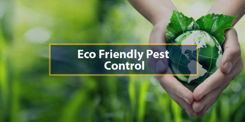 Looking for Effective and Eco-Friendly Pest Control Solutions?