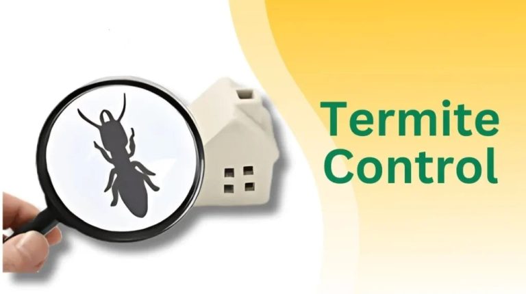 Termite Control