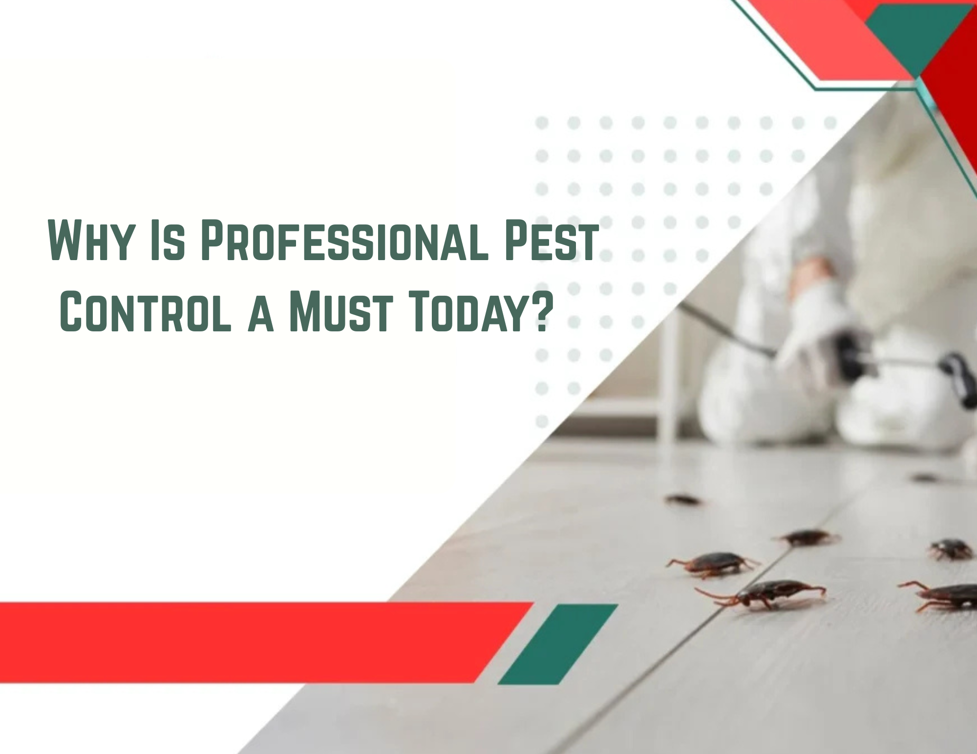 Why Is Professional Pest Control a Must Today?