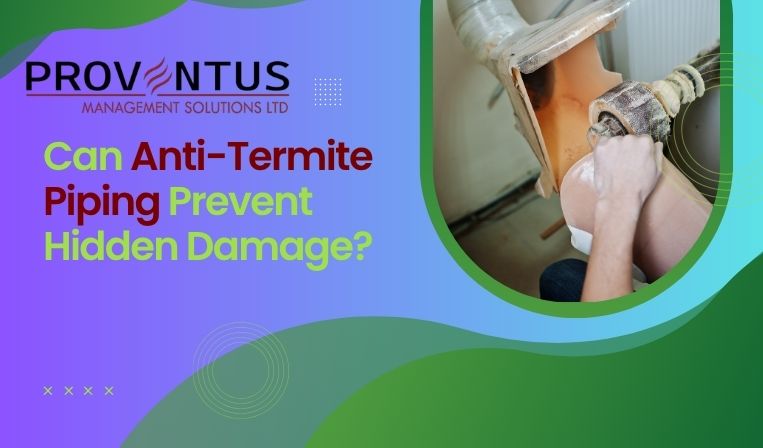 Can Anti-Termite Piping Prevent Hidden Damage?