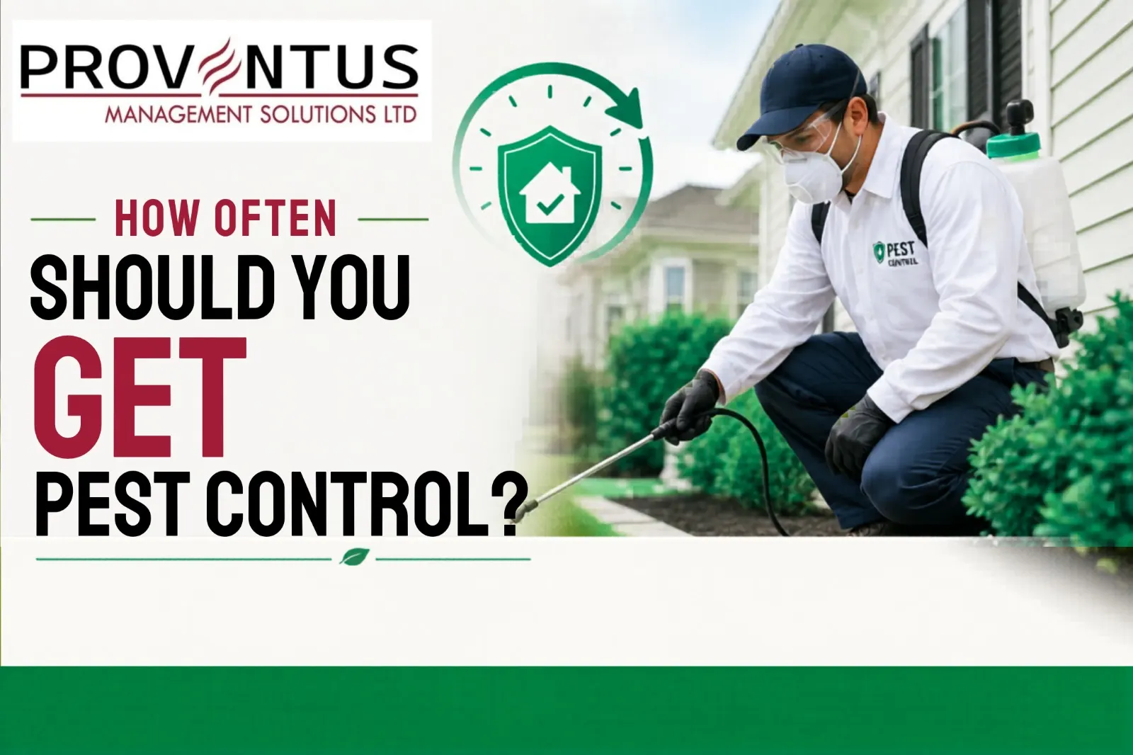 How Often Should You Get Pest Control?