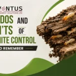 The Dos and Don’ts of Termite Control to Remember