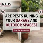 Are Pests Ruining Your Garage  and Outdoor Spaces? 