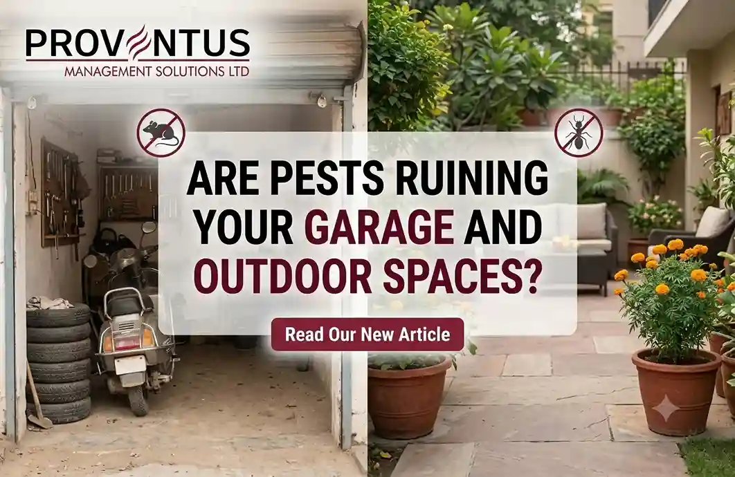 Are Pests Ruining Your Garage  and Outdoor Spaces? 
