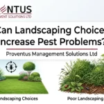Can Landscaping Choices Increase Pest Problems?