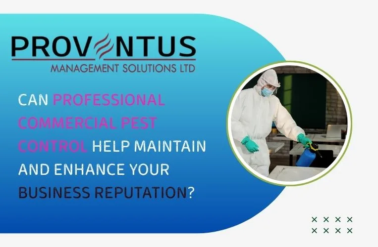 Can professional commercial pest control help maintain and enhance your business reputation?