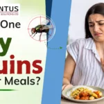 Can One Fly Ruin Your Meal?