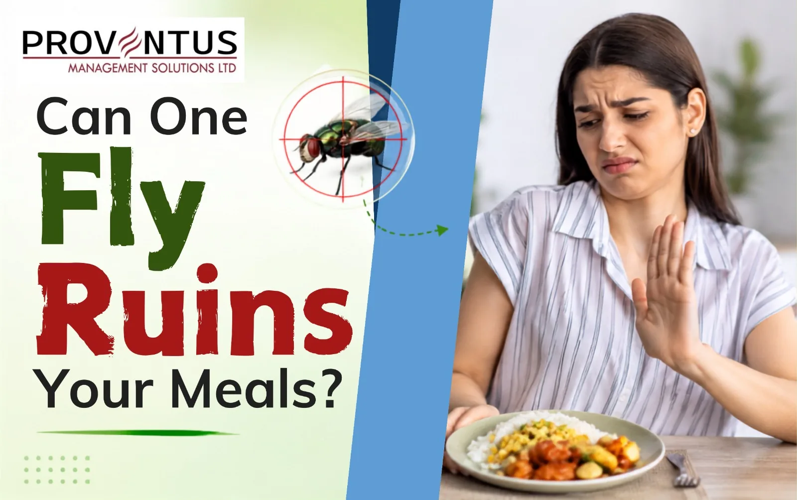 Can One Fly Ruin Your Meal?