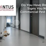 Do You Have Rodents? Signs You Need Commercial Pest Control 