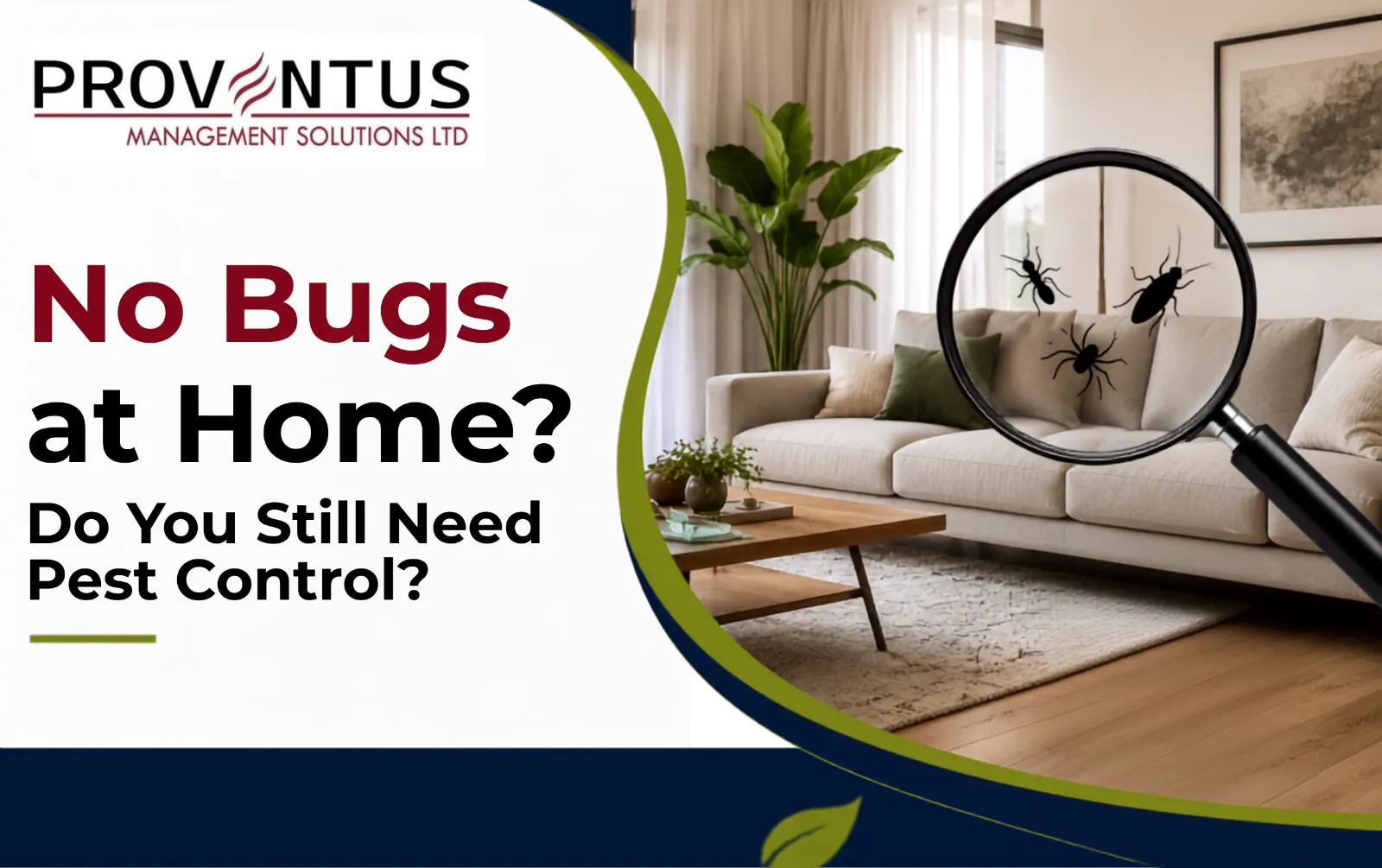 No Bugs at Home? Do You Still Need Pest Control?