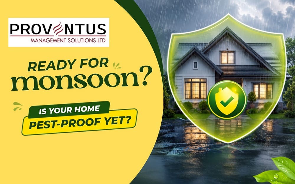 Ready for Monsoon? Is Your Home Pest-Proof Yet?