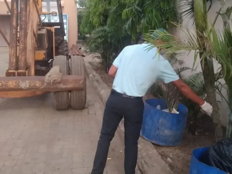 Best Pest control Service In Kolkata, Termite Treatment