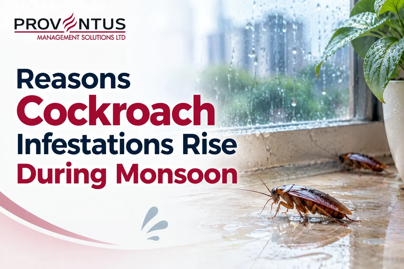 Reasons Cockroach Infestations Rise During Monsoon Season and How to Control Them